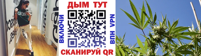 Конопля SATIVA & INDICA  где найти наркотики  hydra вход  Устюжна 